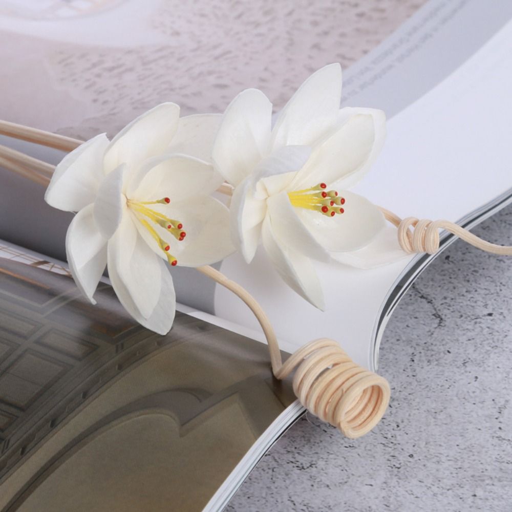 Home Fragrance Diffuser Sticks - Multipurpose 5cm Natural Handmade Fragrance Living