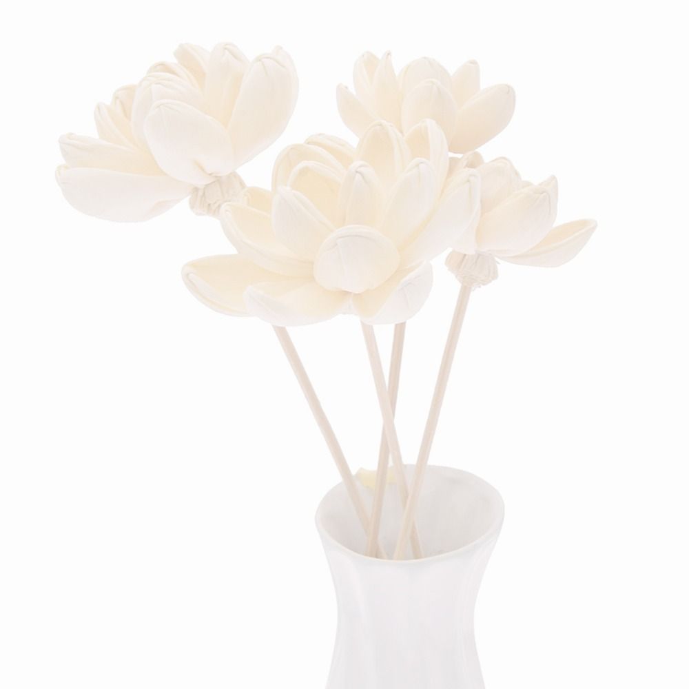 Expand Fragrance Flower For Ho - Home Fragrance Diffuser Sticks review and price