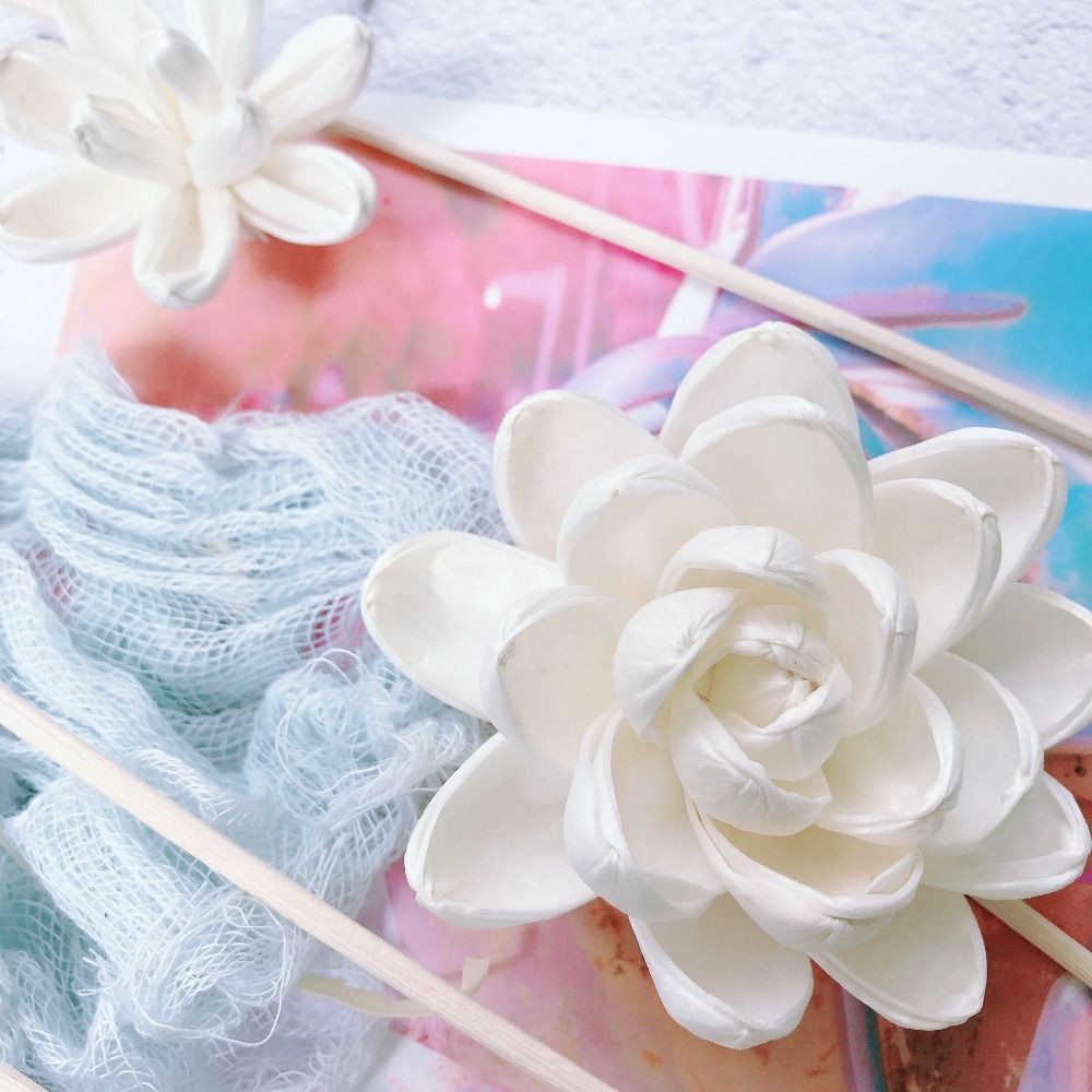 Expand Fragrance Flower For Ho - Home Fragrance Diffuser Sticks review and price